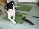 DSC08616.JPG