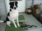 DSC08612.JPG