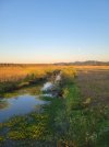 20210721_202349_copy_1512x2016.jpg