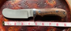 Steingass Beaver Skinner 1.jpg