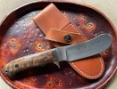 Steingass Beaver Skinner 3.jpg