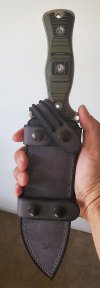 Busse Sheath 3  7.23.21.jpg