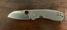 spydie 1.png