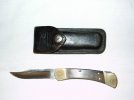 016_Buck110FoldingHunterKnife.jpg