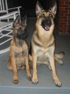 doc and busse 011[1].jpg