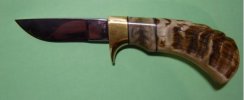 Burke Yearling 001.jpg