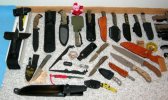 RVO3VOM-Busse_collection_05142005s.JPG