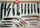RVO3VOM-Busse_collection-bare_05142005.JPG