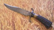 wheat fighter.jpg
