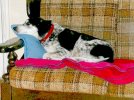 DSCN3978.JPG