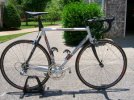 tommasini.jpg