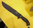 busse-FBMCG-2008514.jpg
