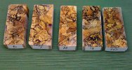 6-10 blocks[1].jpg