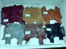 IMG_20120305_181811.jpg