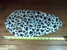 IMG_20120305_190034.jpg