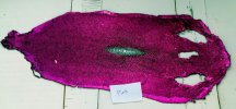 IMG_20120305_192022-1.jpg