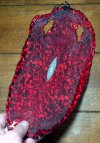 IMG_20120305_190740-1.jpg