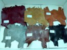 IMG_20120305_181740.jpg