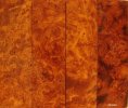 Maidou Burl aka Golden Amboyna #0306D.jpg