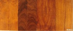 desert ironwood burl scales SET #0301A.jpg