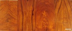 desert ironwood burl scales SET #0301B.jpg