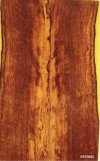 desert ironwood burl #0306K.jpg
