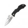 Ladybug3 Spyderco.jpg Ladybug3 Spyderco.jpg