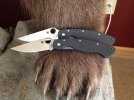 photo knives.jpg photo knives.jpg