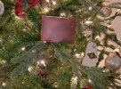 IMG_20201128_112831_377.jpg