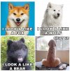 FB_IMG_1627585248485.jpg