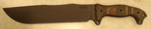 DSC05684.jpg