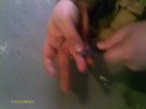 IMAG1081.jpg