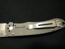 DSC01010.jpg