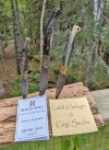 Sardinia-Trio-with-cards.jpg