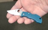 EDC ManBug.jpg