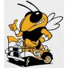 yellowjacket.jpg