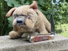 86 Dog 2.JPG