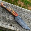 Backwoods1 - Copy.jpg