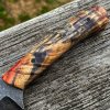 Backwoods5 - Copy.jpg