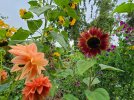 20210821_104718.jpg