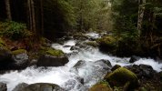 littlebigcreek.jpeg