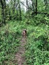 E604B1C1-80BA-4602-BB6D-AD0CF70F81EF.jpeg