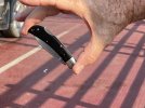 JWKnifeCIRFerry.JPG