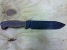 IMG_20111102_083344.jpg