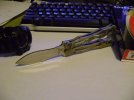 Spyderfly 006.jpg
