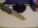 Spyderfly 003.jpg