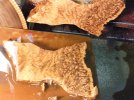 2012_03250069.jpg