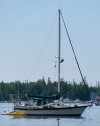sailboat.cedarvillebay.jpg