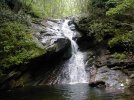 Farlow Shuck Ridge 1.jpg