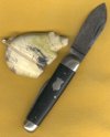 Sleeve whit 3.jpg